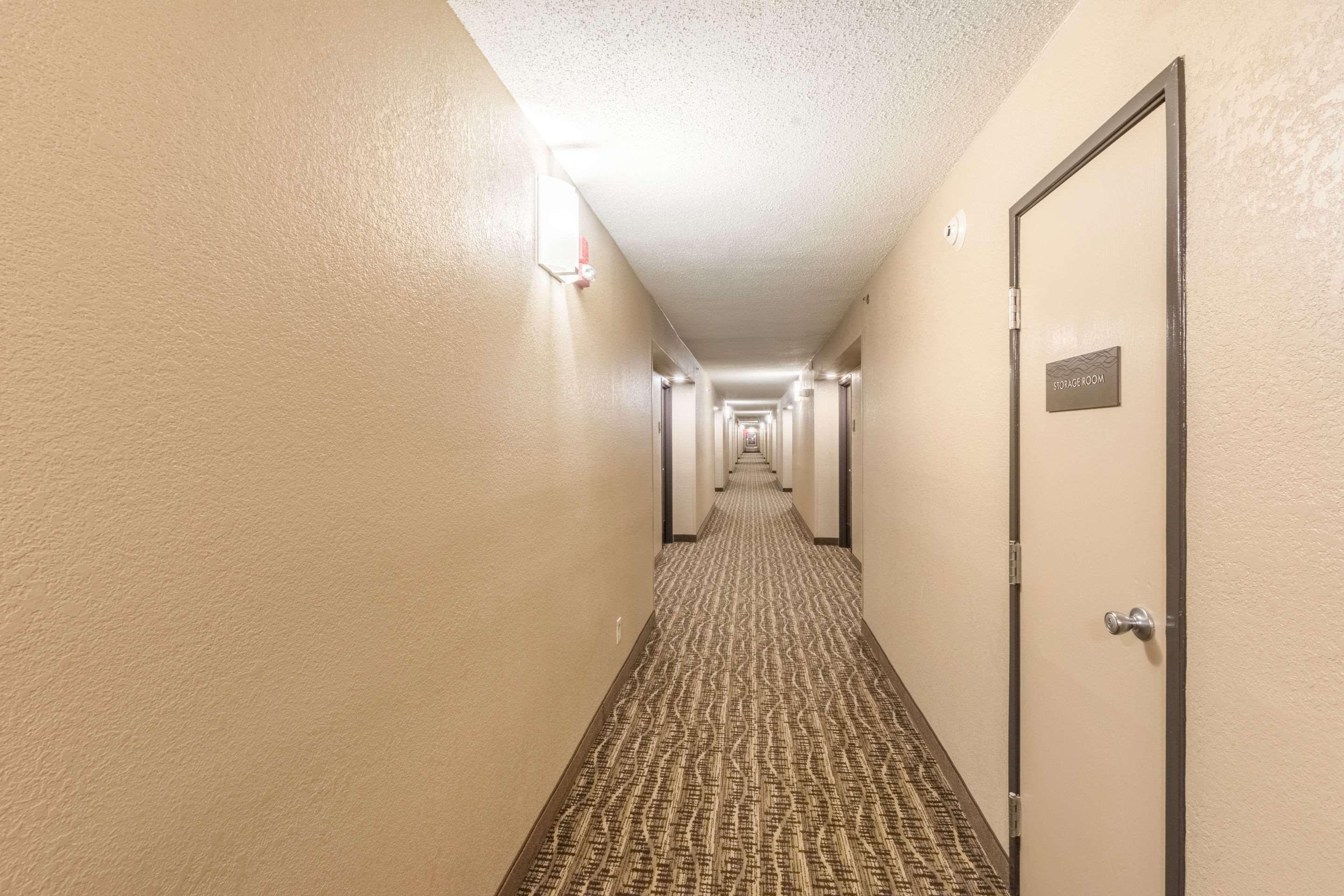 Comfort Inn Charlotte Airport Uptown Εξωτερικό φωτογραφία